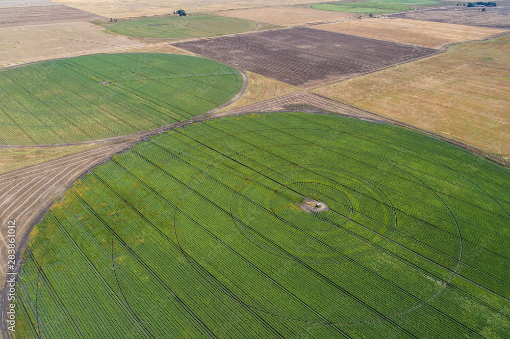 irrigation circles of crops