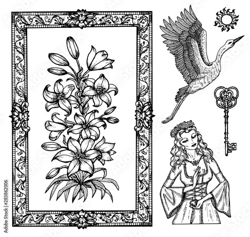 Design set with princess, stork and lily flower isolated on white. Vector engraved illustration in gothic and mystic style. No foreign language, all symbols are fantasy.