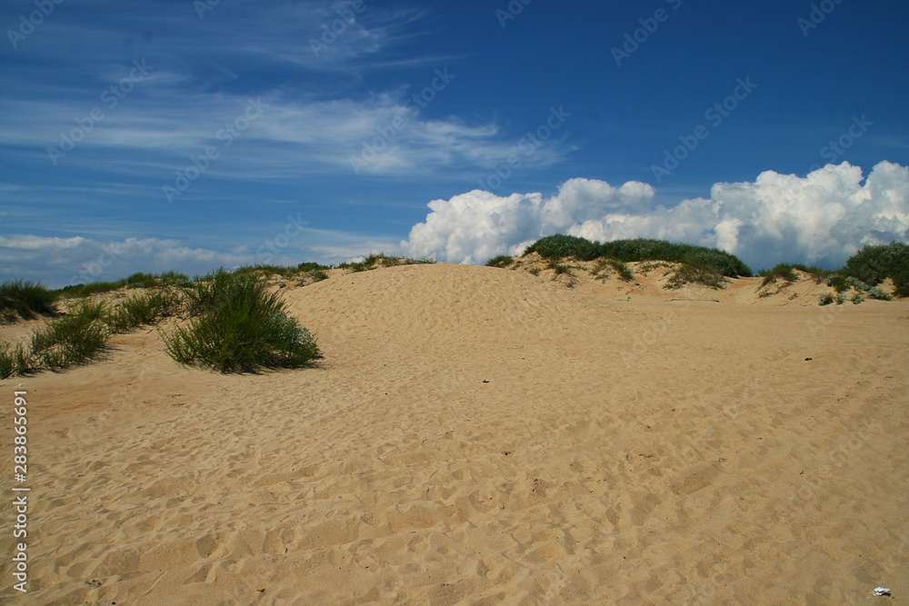 Sand dunes against a blue sky with bushes