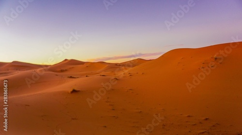 sunset in the Sahara desert