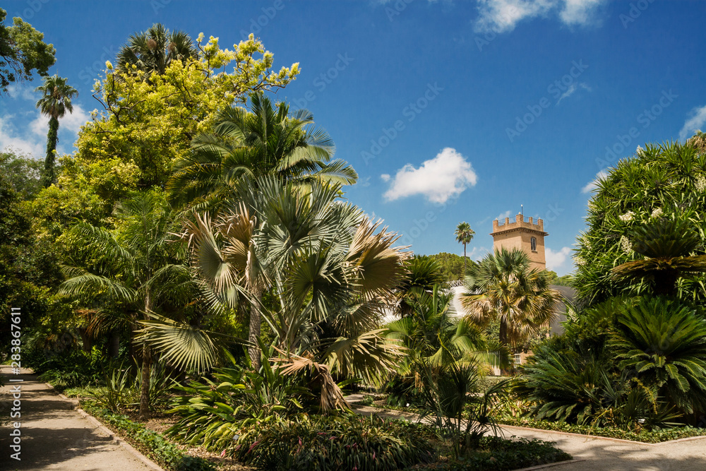 Valencia, Spain-07/19/2019: Jardin Botanico de la Universidad de Valencia, The Botanical Garden of the University of Valencia was founded in 1567 for the study of medicinal plants. Only For Editorial 