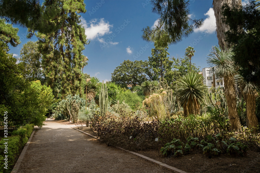 Valencia, Spain 07/19/2019: Jardin Botanico de la Universidad de Valencia, The Botanical Garden of the University of Valencia was founded in 1567 for the study of medicinal plants. Only For Editorial Valencia, Spain 07/19/2019: Jardin Botanico de la Universidad de Valencia, The Botanical Garden of the University of Valencia was founded in 1567 for the study of medicinal plants. Only For Editorial