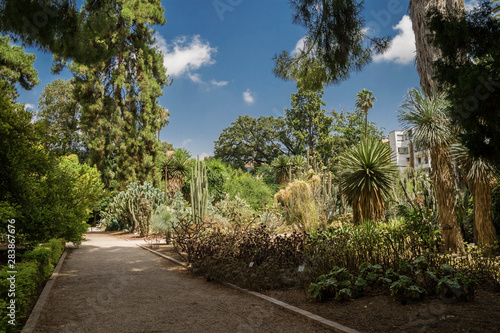 Valencia, Spain 07/19/2019: Jardin Botanico de la Universidad de Valencia, The Botanical Garden of the University of Valencia was founded in 1567 for the study of medicinal plants. Only For Editorial 