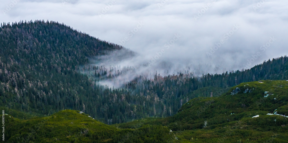 View of the mountain valley from above. Forest covered with fog and clouds..