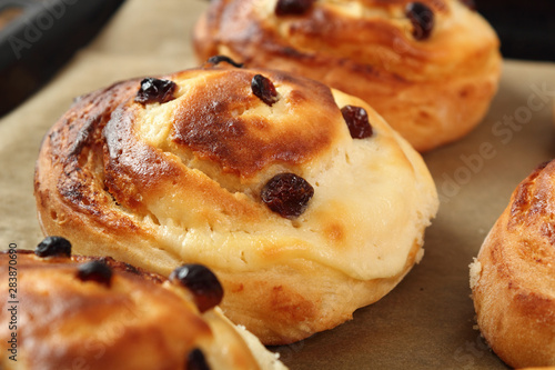 Bread Roll with raisins and cottage cheese filling