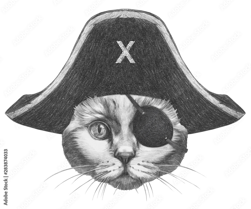 Portrait of Cat with pirate hat and eye patch. Hand-drawn illustration.  Stock Illustration | Adobe Stock