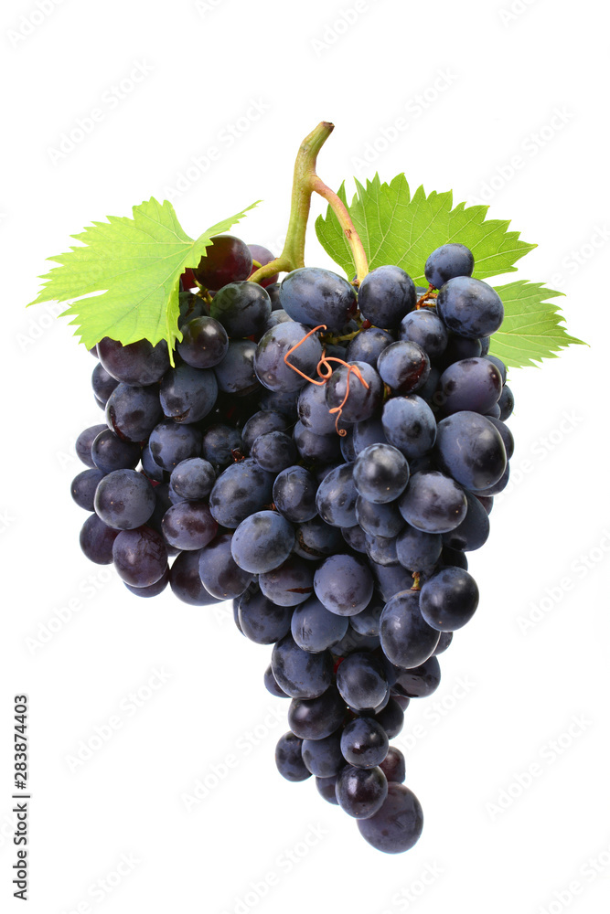 Fototapeta premium Grapes on a white background