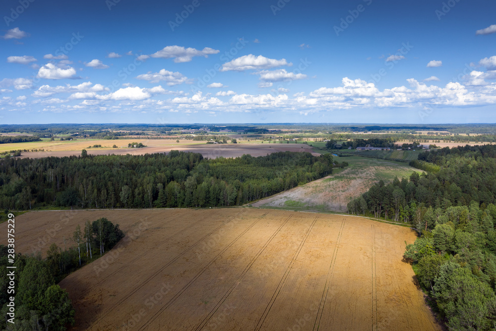 Obraz premium Summer afternoon in countryside of Latvia.