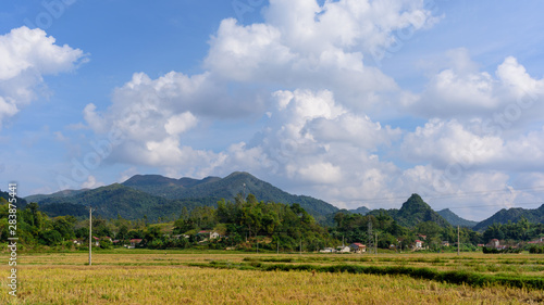 Fototapeta Naklejka Na Ścianę i Meble -  Vue sur les montagnes du Vietnam du Nord et de rizières ainsi que de routes