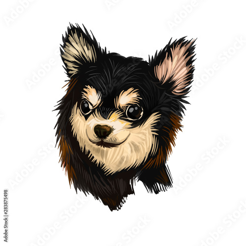 Fotótapéta Chihuahua dog breed isolated on white background digital art illustration