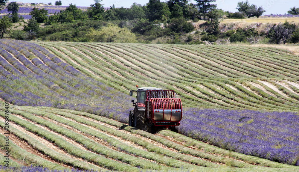 Obraz premium tracteur en plein travail