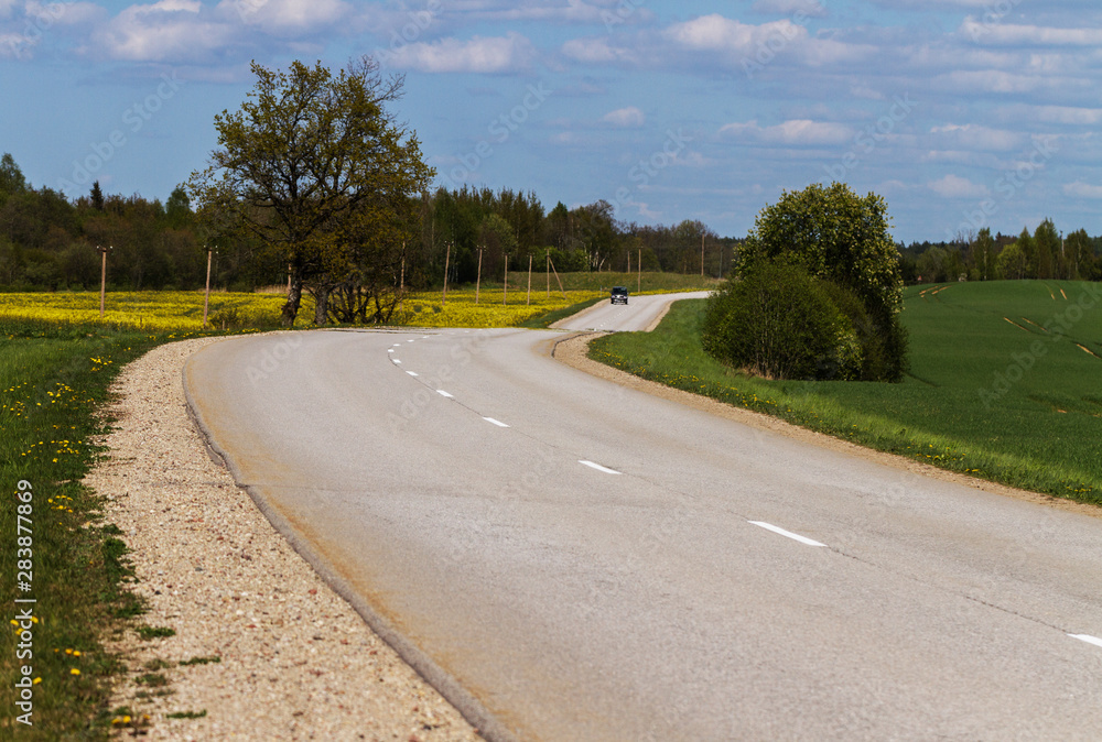 Fototapeta premium Country road with car.