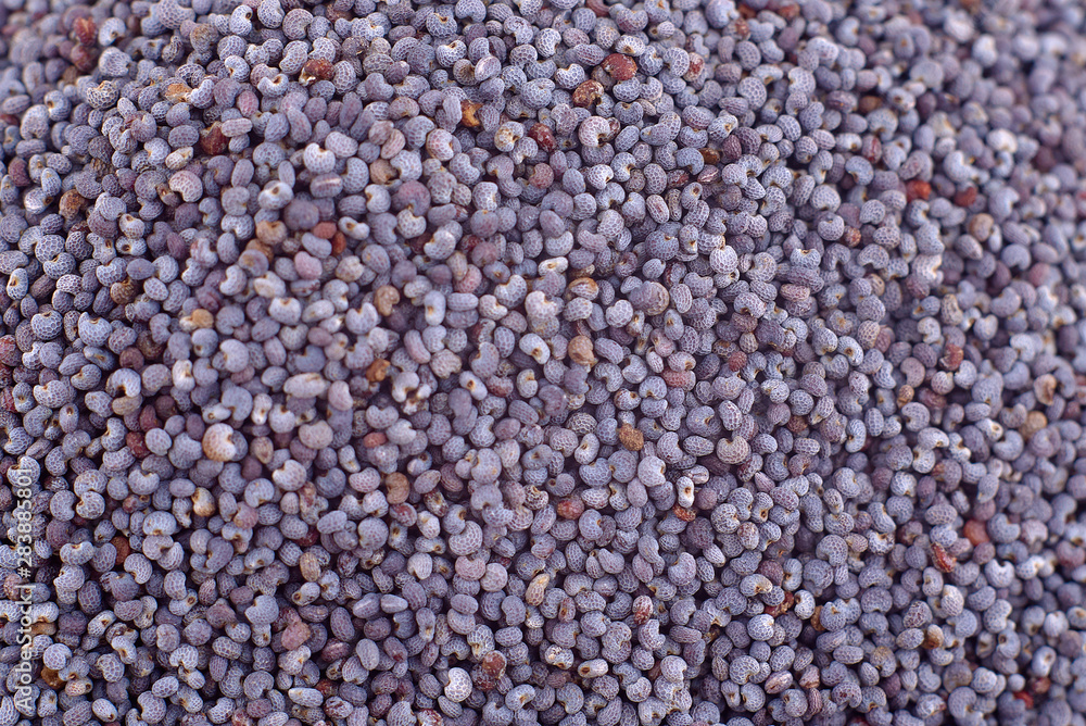Poppy seeds background texture, copy space, close up. Top view, flat lay Poppy seeds background texture, copy space, close up. Top view, flat lay