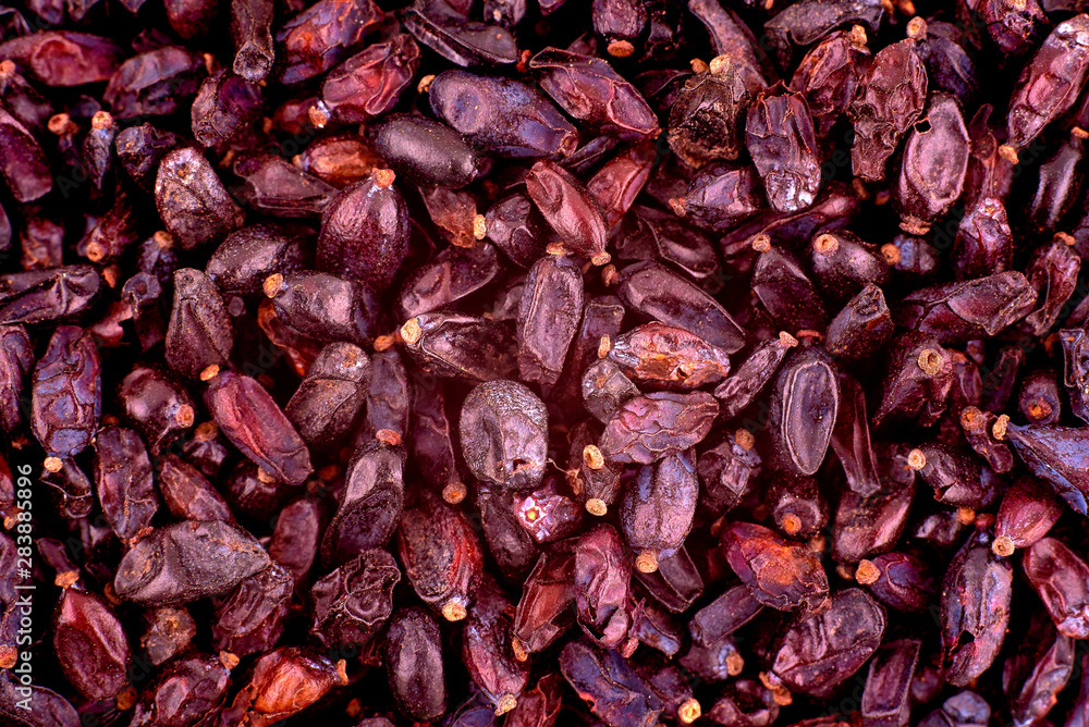 Dried barberry berries background texture, copy space, close up. Top view, flat lay Dried barberry berries background texture, copy space, close up. Top view, flat lay