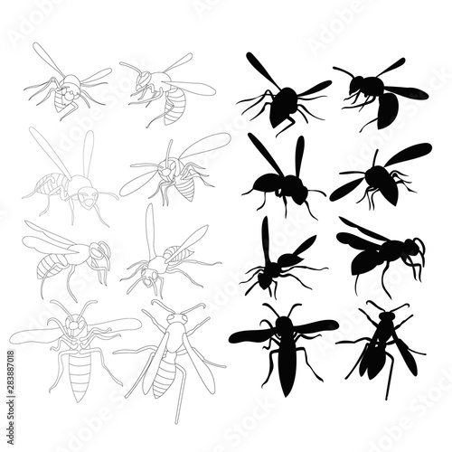 wasp silhouette, bee, insect, set, collection © zolotons