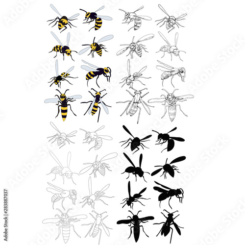 isolated, wasp silhouette, bee, insect, set, collection