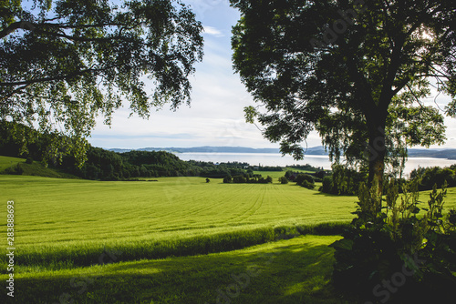 View of Green fields and fjords framed by trees