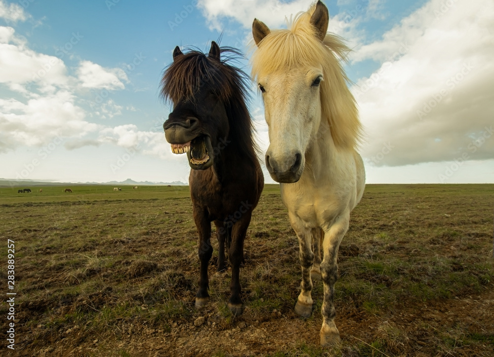 Obraz premium we are all different 