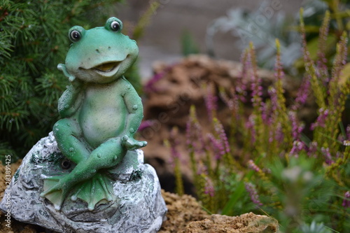 frog in the garden © Катя Ільків