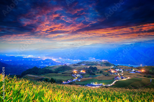 Photography Aerial view of the famous and beautiful Daylily flower at sixty Stone Mountain i