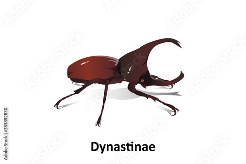 Dynastinae vector on white background isolated 