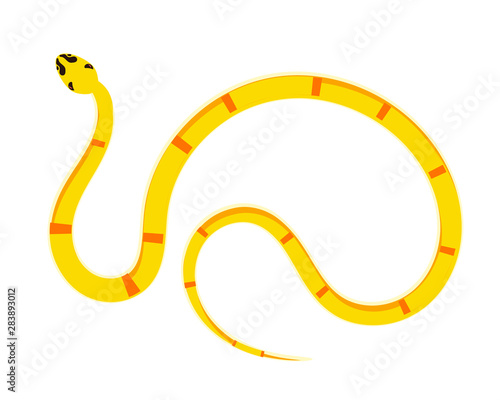 Snake Isolated on White Background, Great for book education, tattoo, sticker and design element! 
