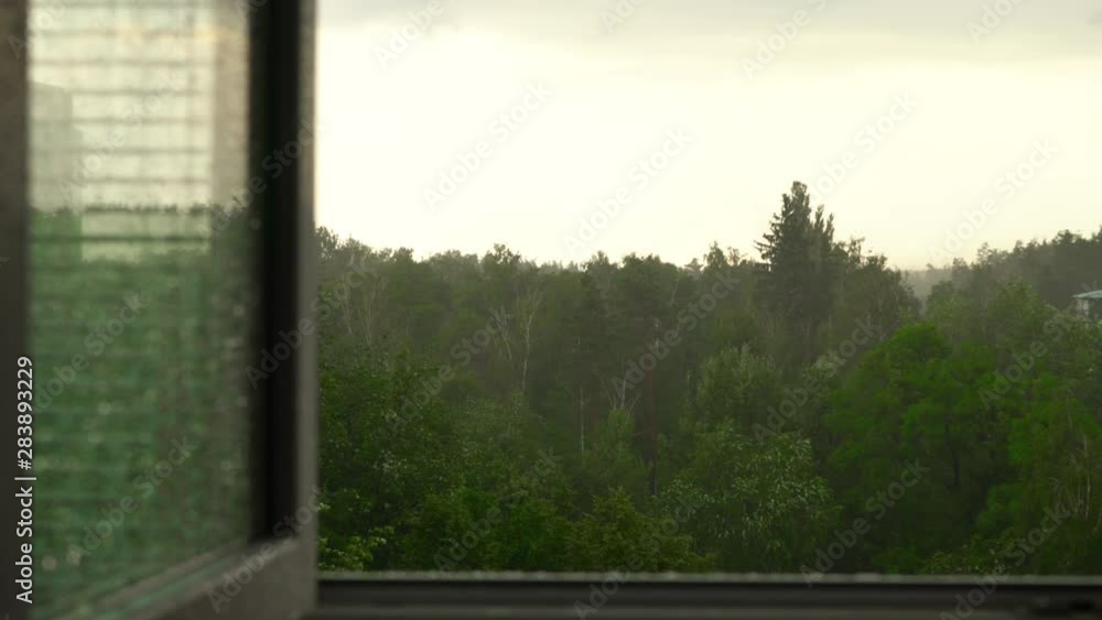 Raining outdoors, view from the open window, peaceful day, summer rainstorm. Rainy summer day outdoors Raining outdoors, view from the open window, peaceful day, summer rainstorm. Rainy summer day outdoors