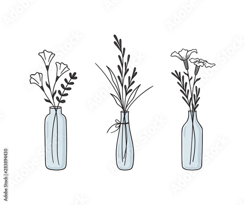 Hand drawn floral compositions in vases and bottles. Abstract wildflowers, grasses and twigs