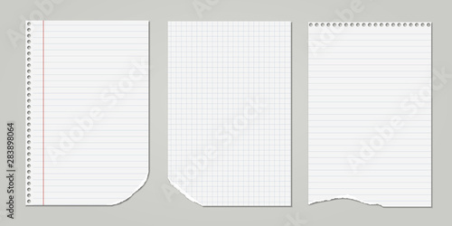 White ripped, lined and squared notebook, copybook paper sheets are on grey background. Vector illustration