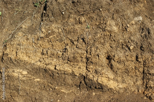 Earth cross section from pants down to rock