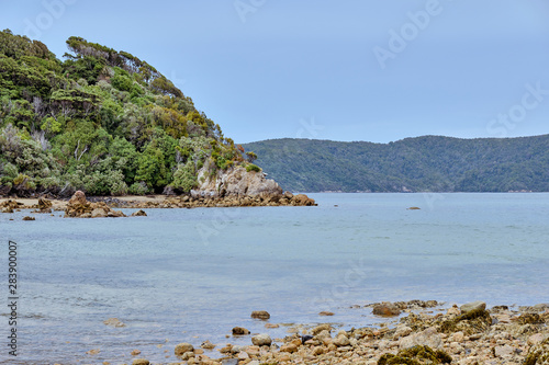 Ulva Island, Rakiura National Park, New Zealand photo