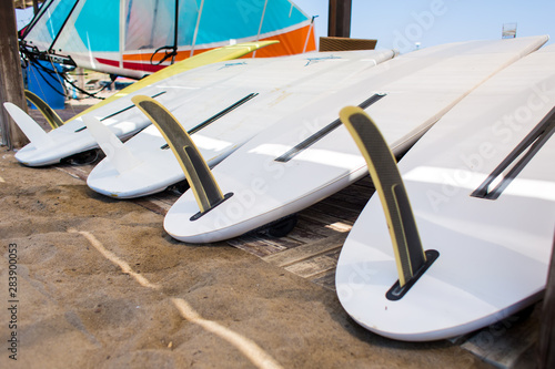 Windsurfing boards storage on a beach watersports facility. Stocked boards