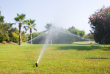 Irrigation System Watering the green grass on the background of palm trees and flowering plants