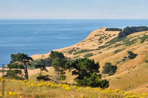 Peaceful coastal landscape of Otago Peninsula  New Zealand