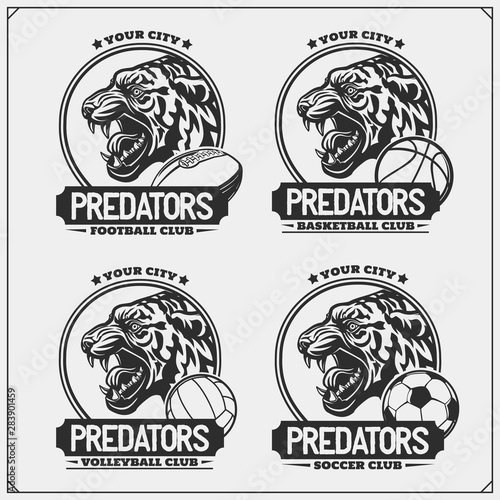 Volleyball, basketball, soccer and football logos and labels. Sport club emblems with tiger. Print design for t-shirt.