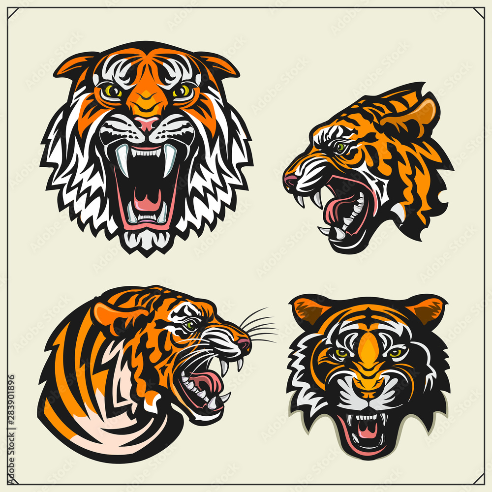 Set of angry tiger heads. Print design for t-shirt. Tattoo and sport club design. Set of angry tiger heads. Print design for t-shirt. Tattoo and sport club design.