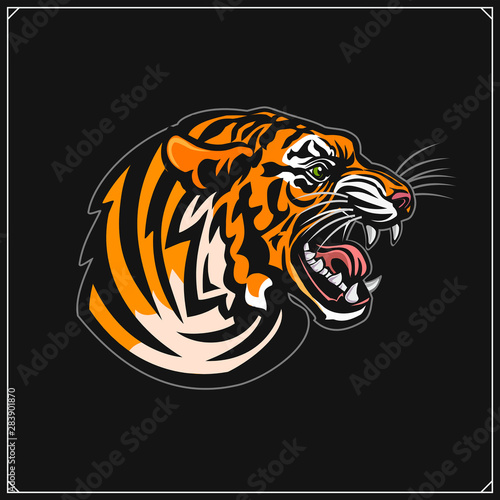 Sport club emblem with tiger.  Print design fot t-shirt. 