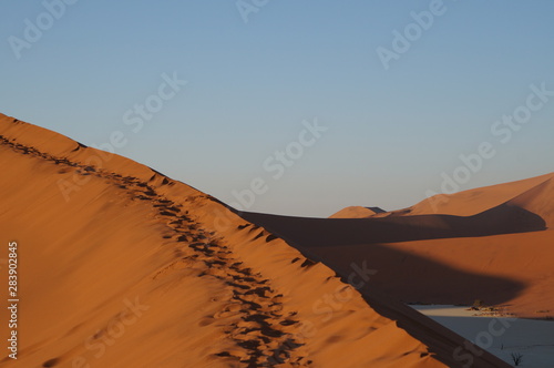 walking on dunes