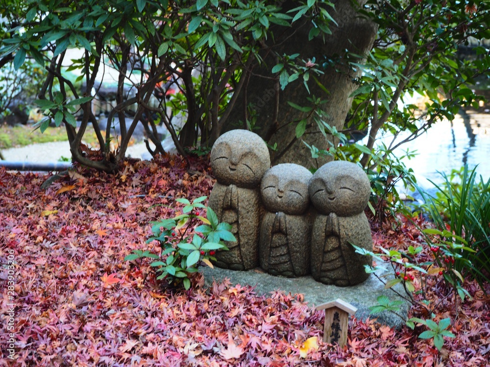 Zen garden, Kamakura, a little Kyoto in Kanagawa, Japan Zen garden, Kamakura, a little Kyoto in Kanagawa, Japan