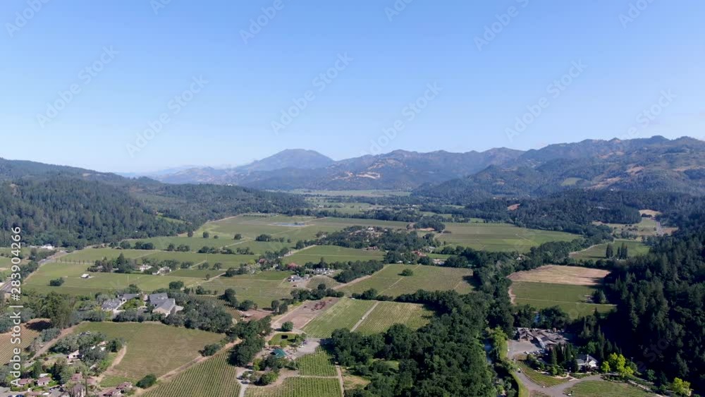 Aerial view of wine vineyard in Napa Valley during summer season. Napa County, in California's Wine Country, part of the North Bay region of the San Francisco Bay Area. Vineyards landscape. Aerial view of wine vineyard in Napa Valley during summer season. Napa County, in California's Wine Country, part of the North Bay region of the San Francisco Bay Area. Vineyards landscape.