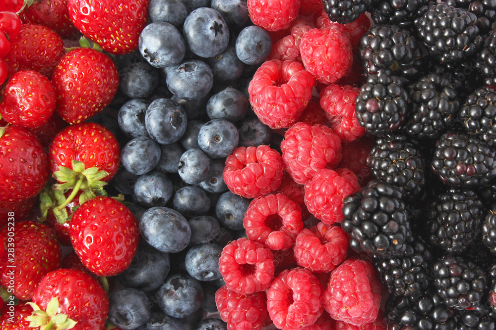Background from a set of different berries. Blueberries, raspberries, strawberries, blackberries, currants Background from a set of different berries. Blueberries, raspberries, strawberries, blackberries, currants