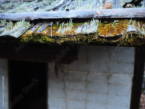 Nihon Minka En, Open Air Museum of Traditional Japanese house and garden photo