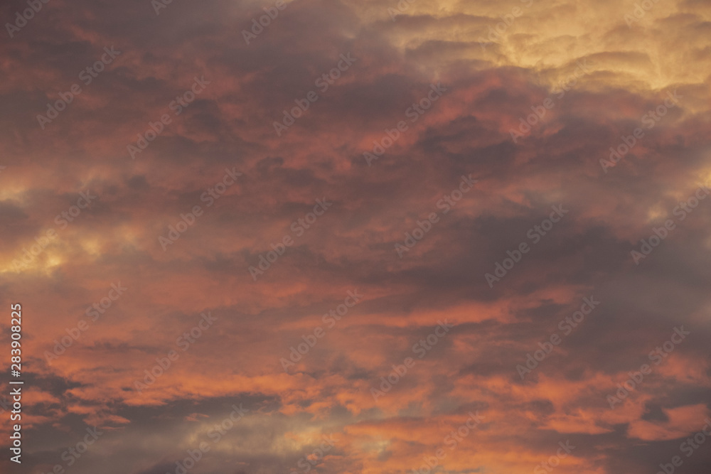 Fototapeta premium 夕焼けの空