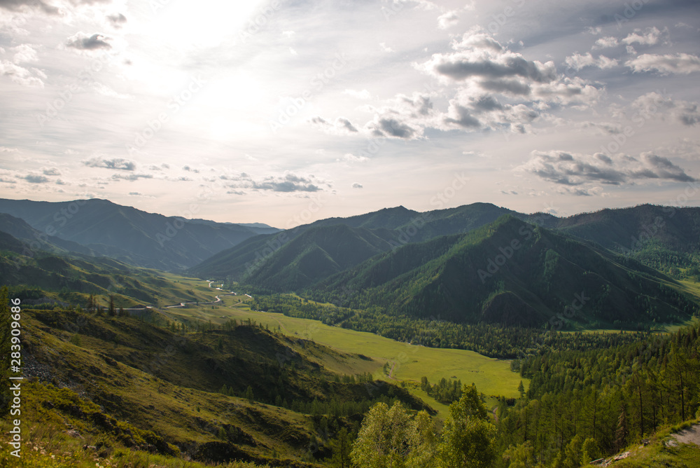 scenic view of montana