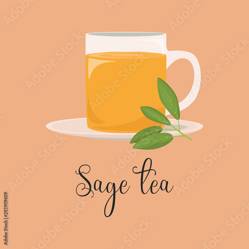 Sage tea cartoon vector isolated illustration.