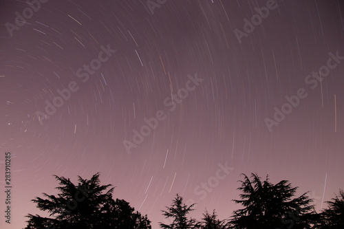 A landscape showing star trails over cedar trees.