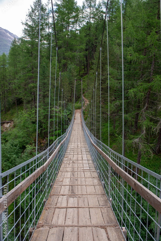 Obraz premium Most wiszący w lesie