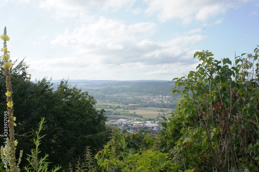 landscape with trees and blue sky in the Hegau Engen