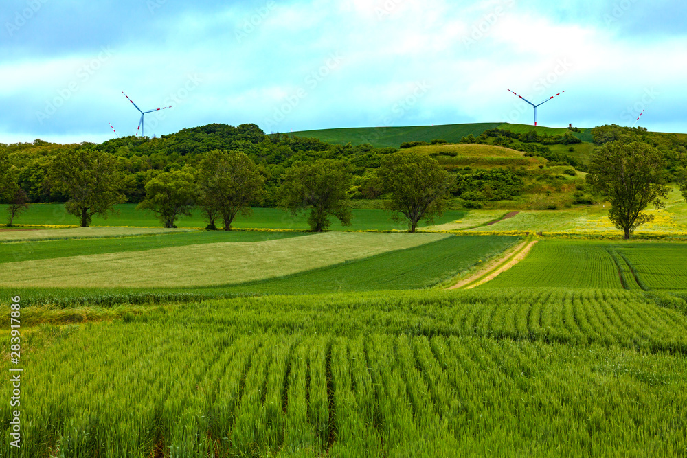 Wind farms on a green field