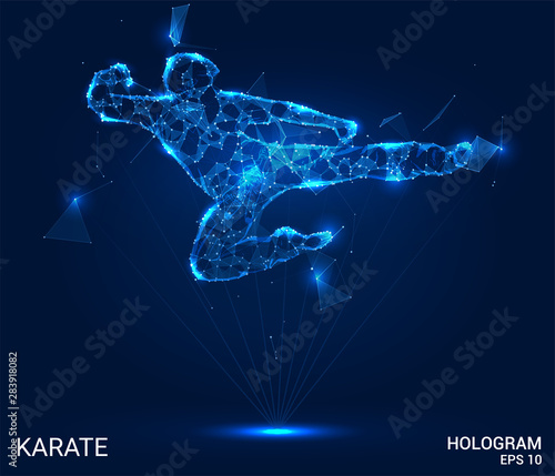 Hologram of karate. Karate jump from polygons, triangles of points and lines. Low poly karate connection structure. Technology concept.